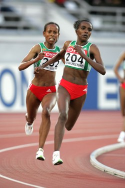 Tirunesh Dibaba and Meseret Defar should provide another thrilling race in the 5,000m. © www.photorun.net 