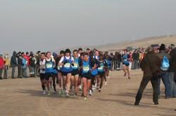 The lead pack battles the winds on the Egmond beach. © Egmond Half Marathon / Organizer