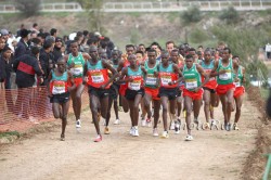 African runners continue to dominate the World Cross Country Championships. © www.photorun.net