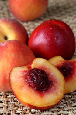 Tasty late-summer fruits... © Betty Shepherd