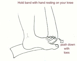 Figure 3: Flexor digitorum longus exercises: Place your foot on top of a piece of Thera-Band and run it beneath the second through fifth toes, grabbing the free end of the band with your opposite hand (which is resting on top of your knee). Using the tips of the toes, push the Thera-Band down for three sets of 40 repetitions.