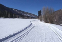 Cross-country skiing makes you strong for running on the road as well. © private