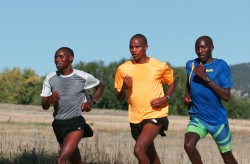 KIMbia’s elite athletes Stephen Kiogora, Ben Maiyo, and Julius Koskei (left to right) on their way to the Frankfurt Marathon. © Betty Shepherd