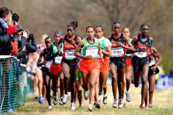 Mestawat Tufa comes close to the 15K world record in Holland. © www.photorun.net 