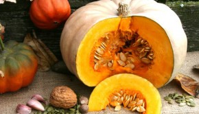 Winter Squash: No Tricks, Just a Treat