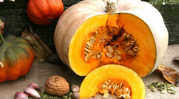 Winter Squash: No Tricks, Just a Treat