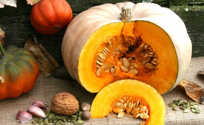 Winter Squash: No Tricks, Just a Treat