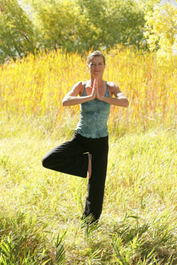 Tree pose—Vrksasana. © Tim DeFrisco