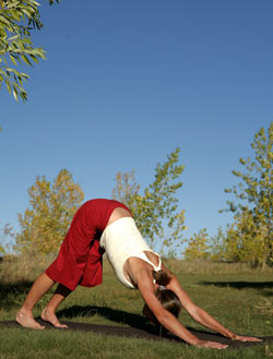 Downward-Facing Dog pose—Adho Mukha Svanasana. © Tim DeFrisco