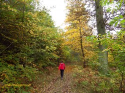 …on one of my favorite trails close to Berlin. © Take The Magic Step