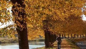 Cold Autumn Weather? Good Reasons to Run Anyway