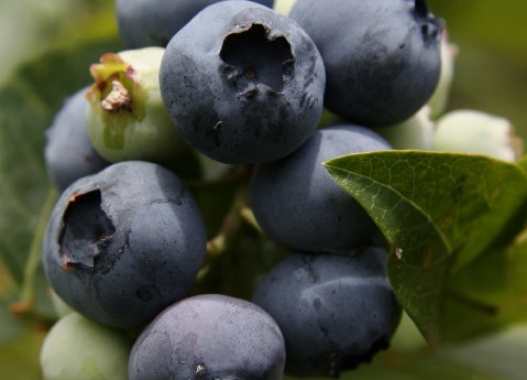 Enjoy Your Summertime Fitness: Part II—Proper Hydration and Summer Nutrition