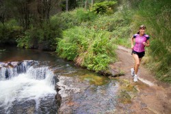 Let's run together! © Betty Shepherd