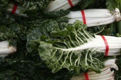 Eating Organic Without Going Broke
