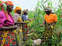 Women work cooperatively to raise crops. © Courtesy of PeopleWeaver